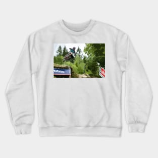 Danny Hart Painting Crewneck Sweatshirt